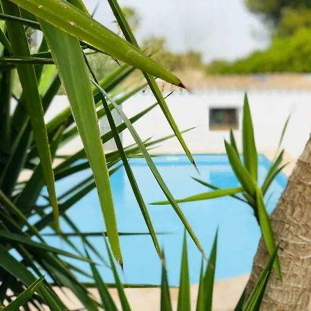 Holiday home Chalet Vall De Flors *