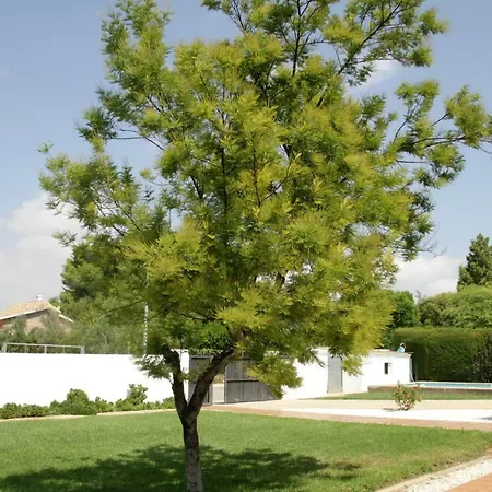 Chalet Vall De Flors